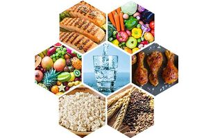 продукты, разрешенные для 6-лепестковой диеты